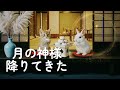 【満月の夜】子猫とウサギが出会った月の神様、ツクヨミノミコト🌕✨ #ツクヨミノミコト#月読命#お月見