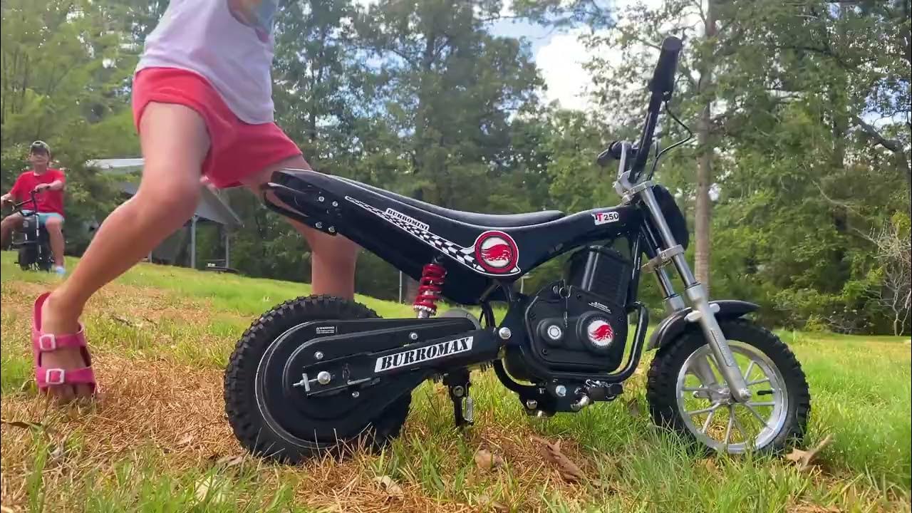 burromax tt250 battery charger