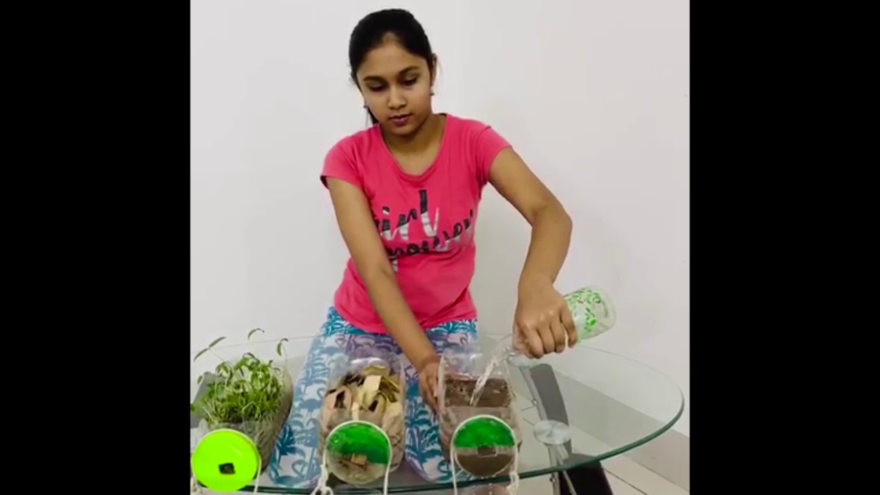 Science Activity on Soil Erosion - Shanti Asiatic School | Ahmedabad