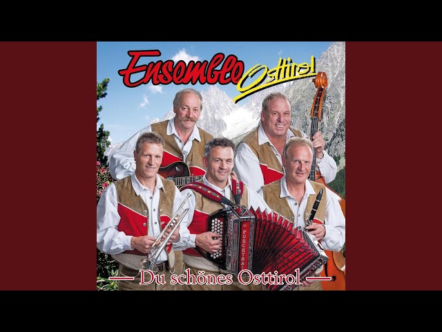 Ensemble Osttirol - Die Ensemble Osttirol Polka Instr.