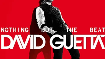 David Guetta Who's That Chick (DED yah REMIX)