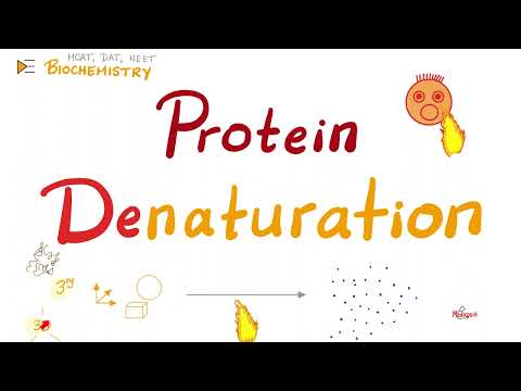 Video: Hva betyr det at et protein denatureres, og hvordan kan det bli denaturert?