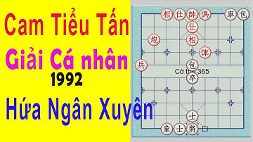 Cam Tiểu Tấn (甘小晋) tiên - Hứa Ngân Xuyên(许银川). Giải Cá nhân 1992.