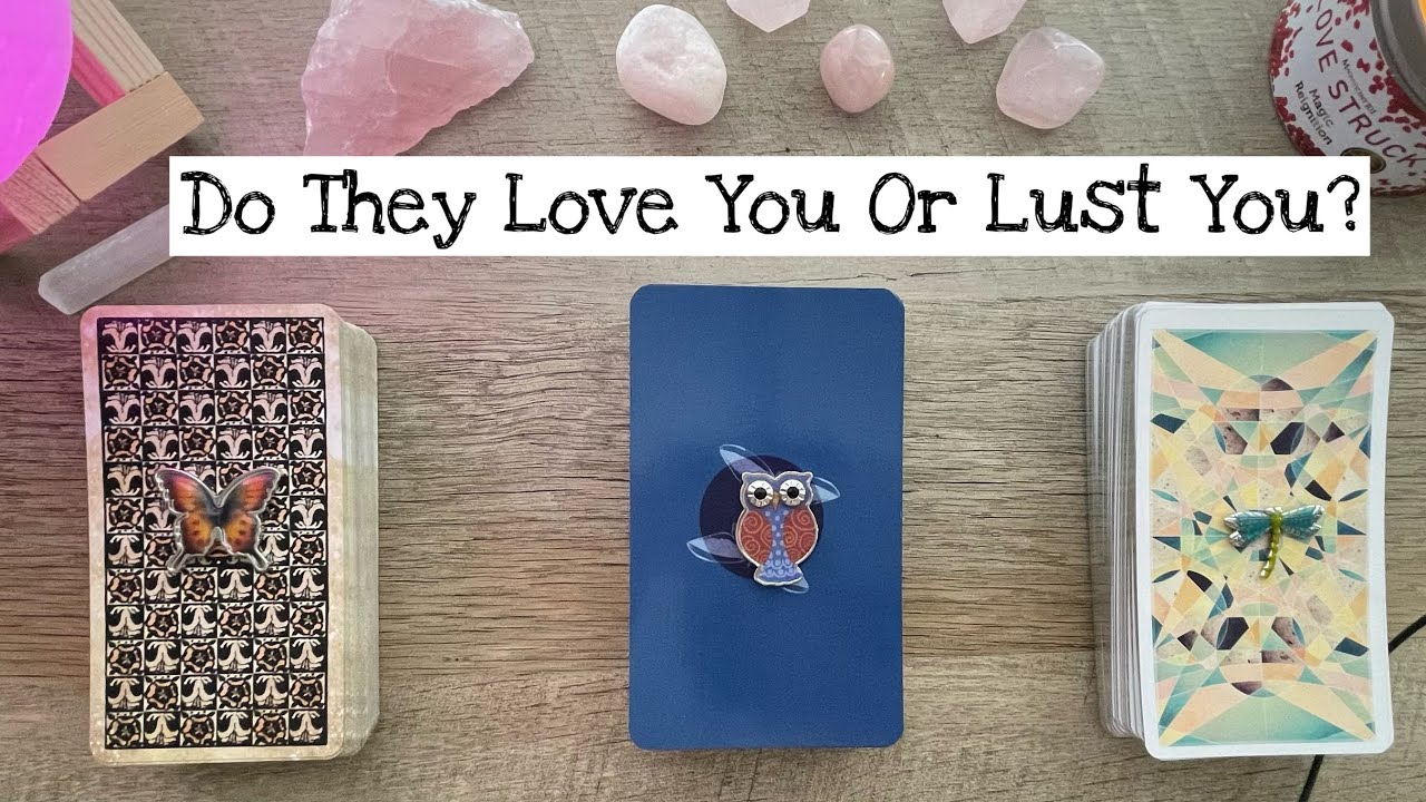 Pick A Card. Do They Love You Or Lust You? 🥰😈