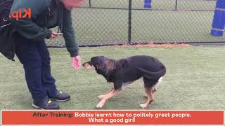 Bobbie Training
