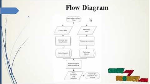 Data mining in lung cancer pathologic staging diagnosis: Correlation-clinical&pathology information