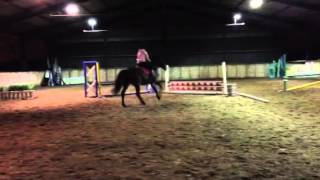 Otto jumping a course of 4 jumps