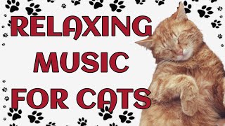 🐾 Calming music for cats by Paws and Purrs 1,308 views 2 weeks ago 4 hours