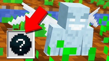 RAIDING a Village for RANDOM Drops (Minecraft Randomizer Survival #5)