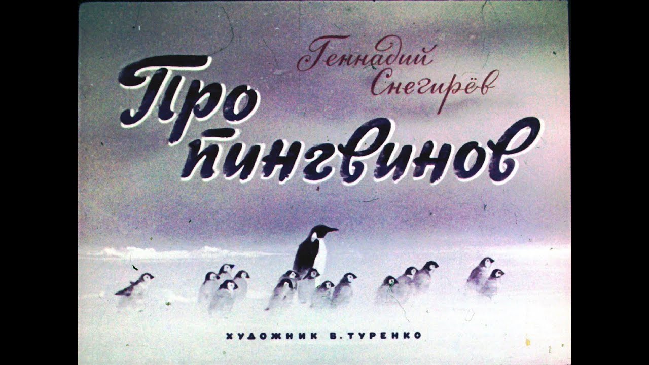 Пересказ рассказов про пингвинов старшая. Пингвины Снегирев любопытные. Чтение рассказов г. Снегирева «про пингвинов»..