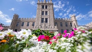 We are #ProudlyDeKalb - NIU 2016