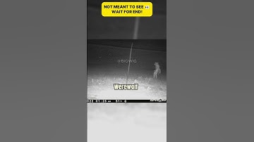 Scariest Things Ever Seen on Security Footage