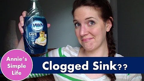 Pinterest Truth or Fail #10 - Clogged Sink