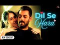 New Song 2025: Dil See Hara | Salman Khan, Katrina Kaif (Full Video) | Romantic Love Song