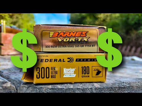 300 RUM ammo is expensive!!!