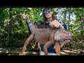 Iguana hunting in florida with air rifles
