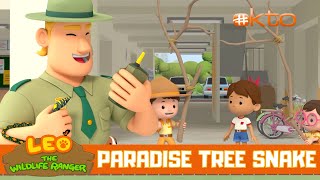 FLYING SNAKE?! Leo Finds Out Its Secret Superpower!|Leo the Wildlife Ranger|For Kids|@Mediacorp okto