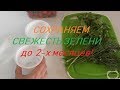 Как продлить жизнь сохранить свежесть зелени