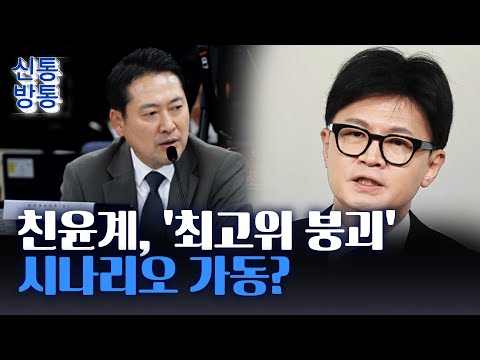 ···장동혁, <strong>TF</strong> 로드맵 반대