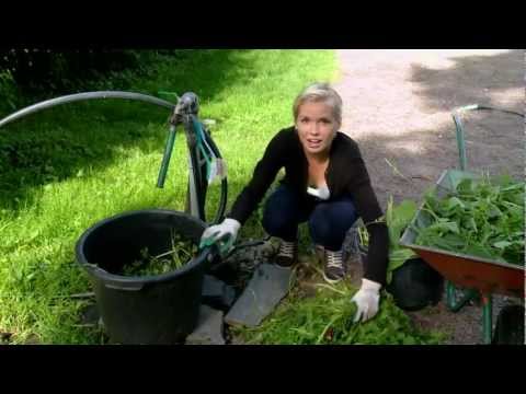 Video: Mansikkalannoite – mansikkakasvien lannoitus