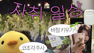 자취일상 | 남자친구랑 1주년 데이트💓 코조각주사 시술🤧 다이소 바질 키우기, 엄마가 자취방에 놀러왔어요