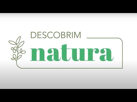 Vídeo: Com Es Descriu La Feina