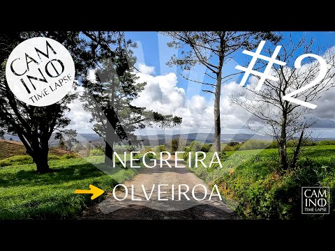 ผลสลากกินแบ่งรัฐบาล วันที่ 1 พย. 2567