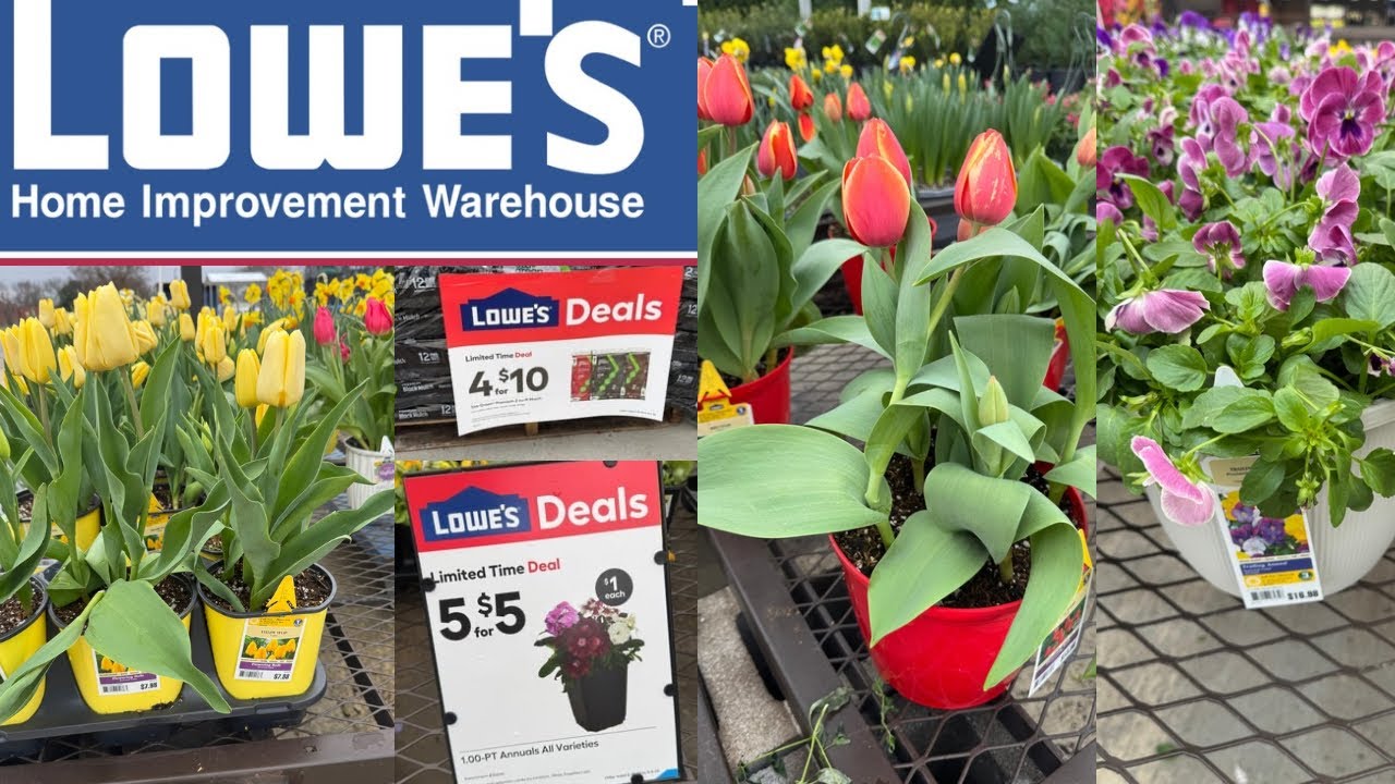 LOWES BEST NEW PLANTSARRIVALS FOR SPRING | HOW TO MAKE YOUR GARDEN BEAUTIFUL?
