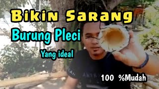 CARA MEMBUAT SARANG BURUNG PLECI, CARA MUDAH BIKIN SARANG BUATAN BURUNG PLECI