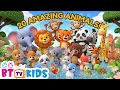 20 Animals for Kids 🐵🦁🐘 | Learn Animal Names & Sounds | BTTVKids