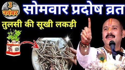 3 नवंबर 2025 सोमवार प्रदोष व्रत पर तुलसी की सूखी लकड़ी का चमत्कारी उपाय 🌿 | Pradeep Ji Mishra 