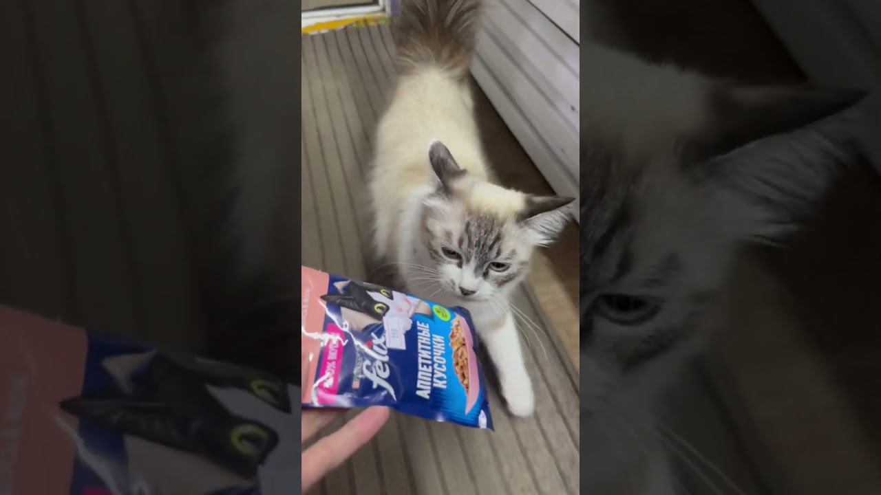 Заманила вкуснятиной😍😌 