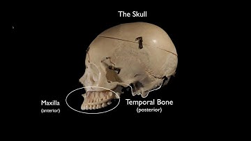 [Webinar] Functional Occlusion in the Digital Age - Part 1 with Al Fillastre, CDT