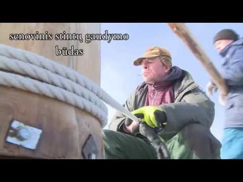 Video: Baltųjų žuvų Medžioklė žiemą