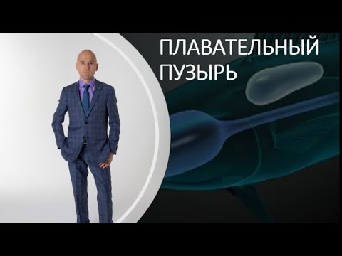 22. Плавательный пузырь