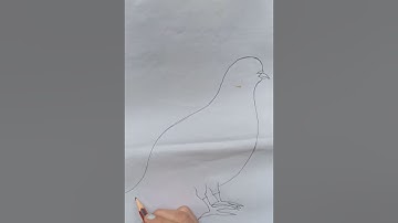 how||🕊️how to draw pigeon✏️||कबूतर कैसे बनाएं easy tricks#new#viral#art #pigeon#ytshorts#shorts