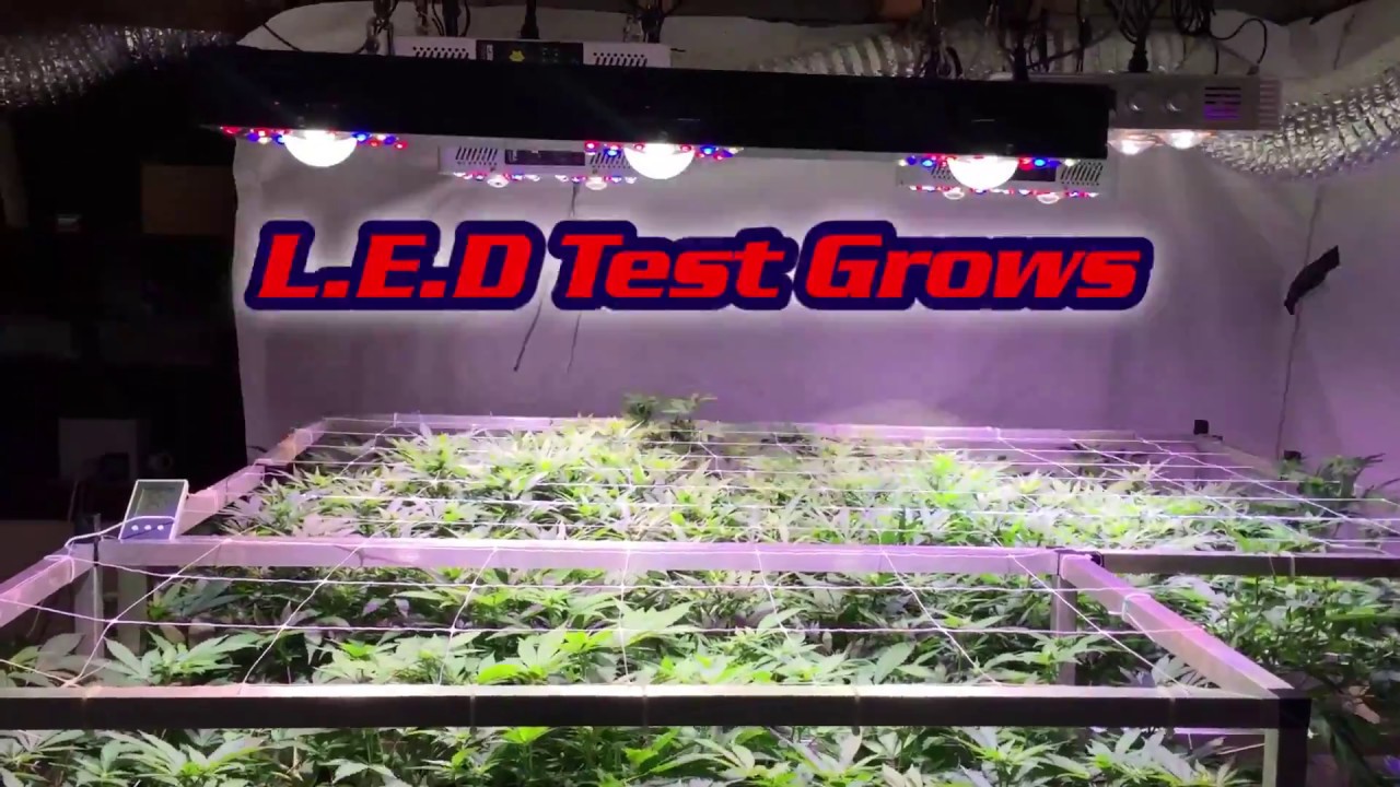 COB LED grow with SuperTechLED