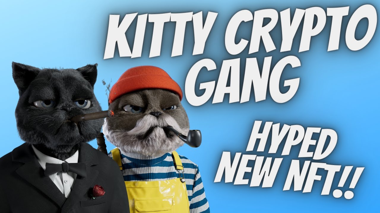 Kitty Crypto Gang HYPED NEW NFT! (LIFE CHANGING) - YouTube