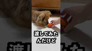音が大きいほど早く動くクモに世界一うるさい笛を吹けばすごい速さで動くはず！