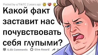 Эти факты заставят тебя ПОЧУВСТВОВАТЬ себя ГЛУПЫМ!