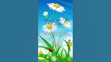 Surah 20 Ta-Ha 🕋 سورة ٢٠ طه