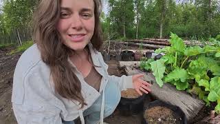 July Garden Update 2026