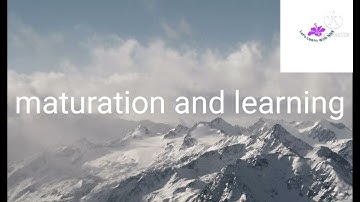 process of learning. d. el. ed 3rd semester. paper:cognition learning and socio cultural context