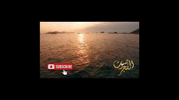 نور من القرآن | تلاوة مؤثرة لسورة النور - القارئ أيمن الديب