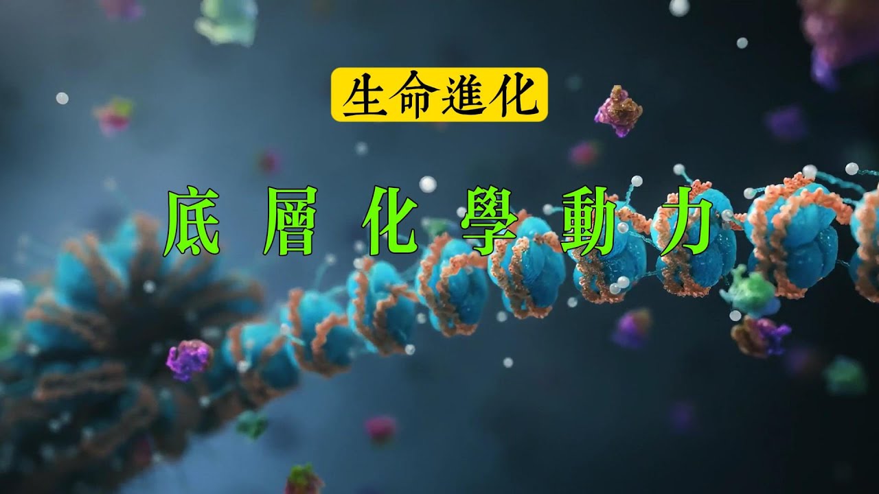 本質問題：生命進化的底層化學動力