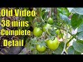 Old Video 2018 || Tamatar From Seeds Complete Video || Must Watch