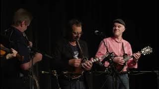 Dawg's Bull - Mike Marshall, Darol Anger, Radim Zenkl, Ondra Kozák, Ned Luberecki & Lucas Henri