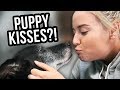 Lily Finds Love at a DOG CAFÉ! (Lunchy Break)