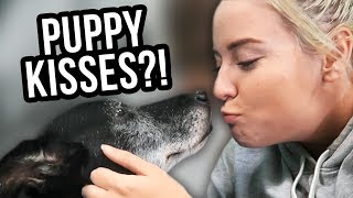 Lily Finds Love at a DOG CAFÉ! (Lunchy Break)