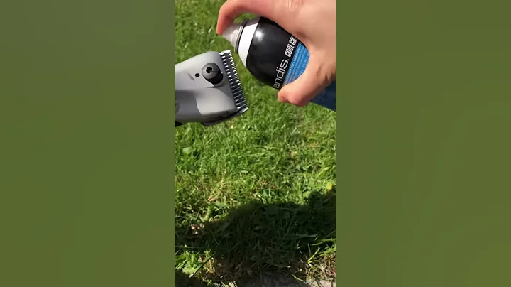 Masterclip - How to Apply Andis Cool Care Spray to Clipper Blades - V-series Horse Clipper